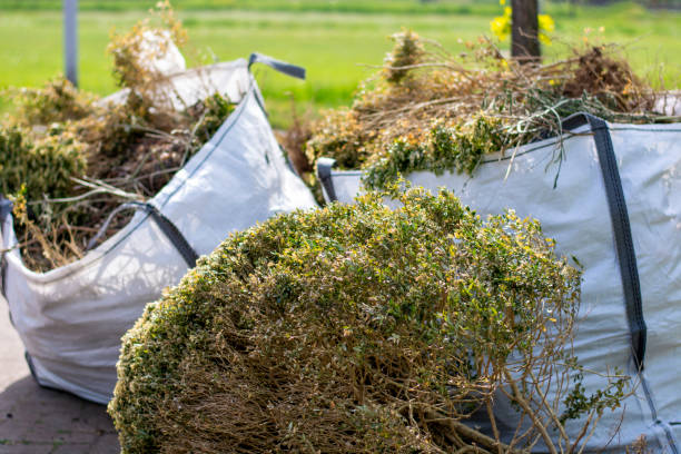 Best Dumpster Rental Services  in Morton Grove, IL